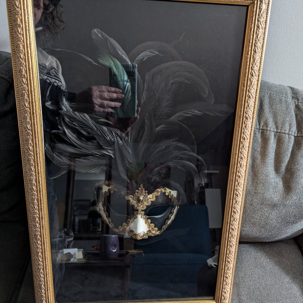 Cirque du Soleil mask